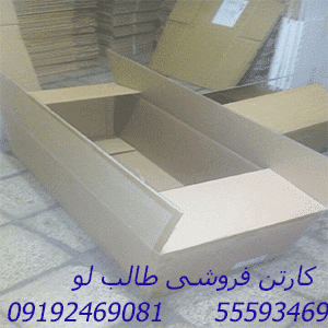 خرید آنلاین کارتن